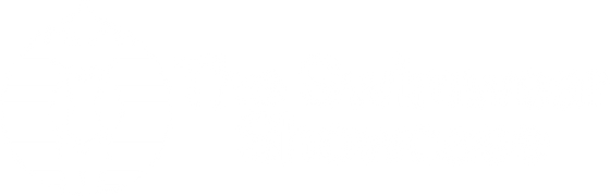The Swimwear Showcase